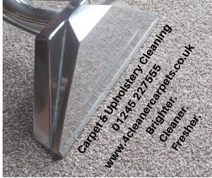 Local Carpet Cleaning