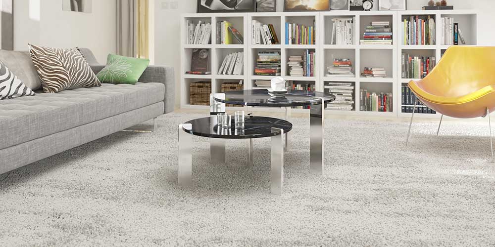 Professional Carpet Cleaning Benefits
