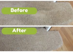 Carpet cleaning stair carpet