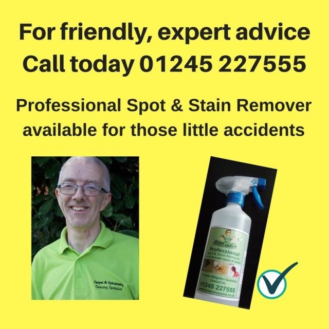 Friendly-expert-advice-for-Carpet-Cleaning