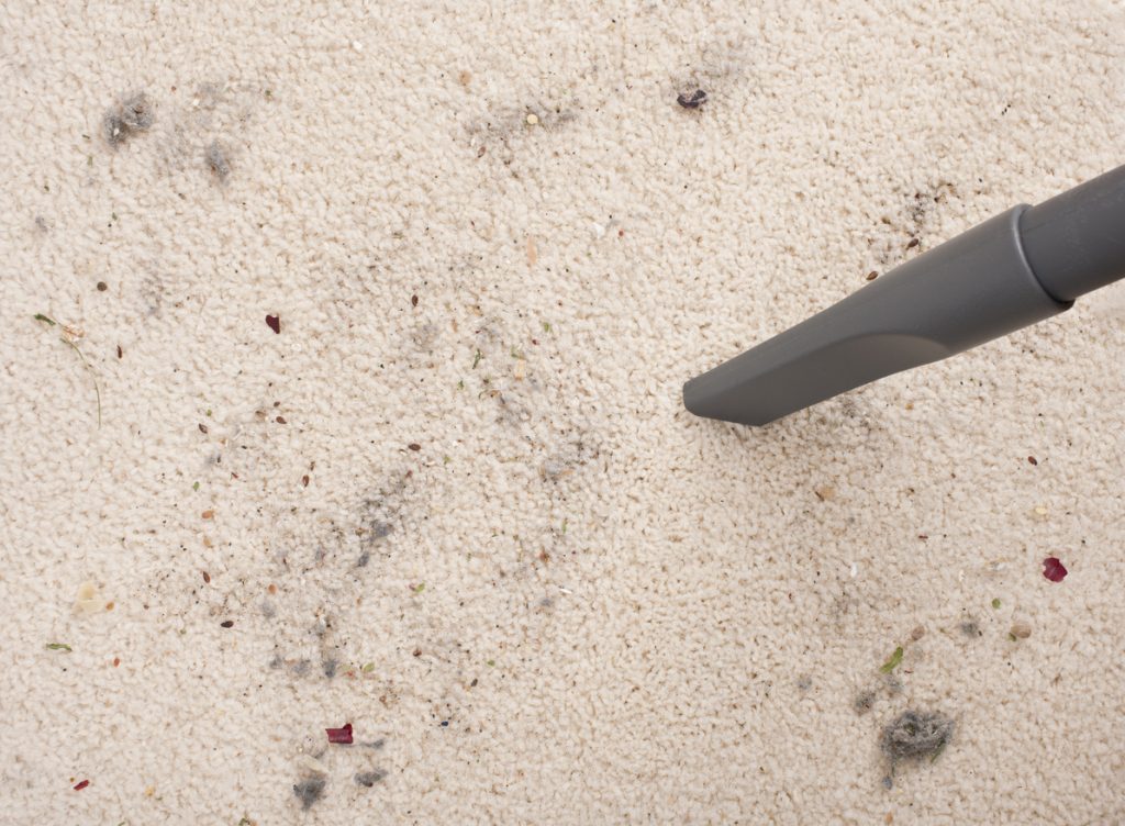 Carpet Cleaning in Chelmsford Essex